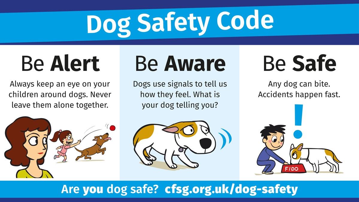 Dog Safety Code
